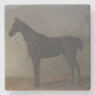 Bay Gelding Horse (by Albrecht Adam) Stone Coaster