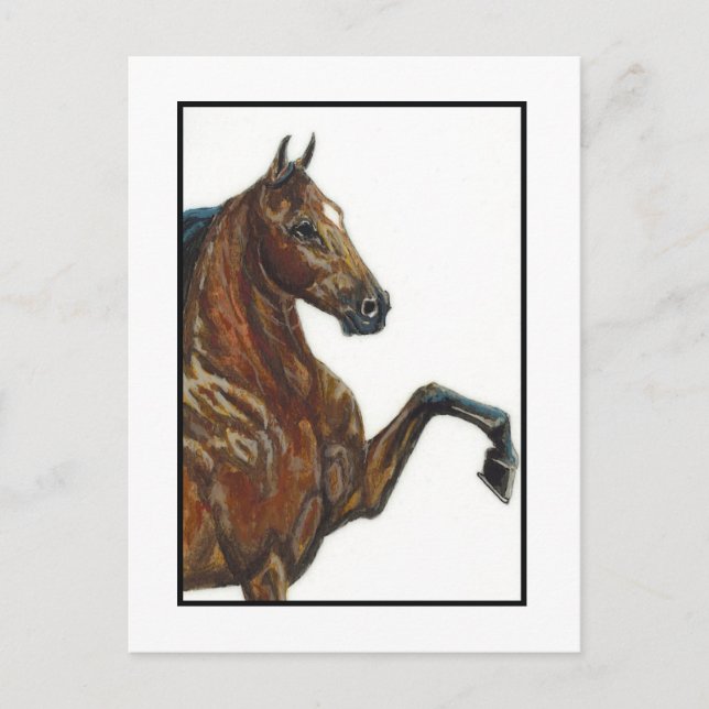 Bay Harness Pony 3 Postcard (Front)