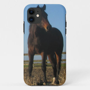 Bay Horse Case-Mate iPhone Case