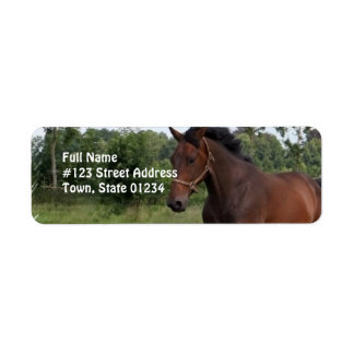 Bay Horse Design Return Address Label