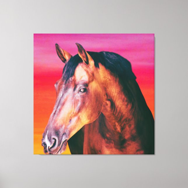 Bay Horse Gradient    Canvas Print (Front)