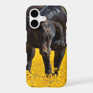 Bay Horse in a Field of Yellow Flowers