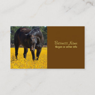 Bay Horse in a Field of Yellow Flowers Business Card