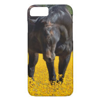Bay Horse in a Field of Yellow Flowers