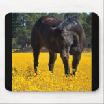 Bay Horse in a Field of Yellow Flowers Mouse Pad<br><div class="desc">A gorgeous photo of a large bay horse in a big field of yellow flowers. This beautiful equine is bending down to inspect these yellow black eyes susans. His face is gentle and looks thoughtful and kind. The colour and lighting is fantastic and the dark brown bay colours of this...</div>