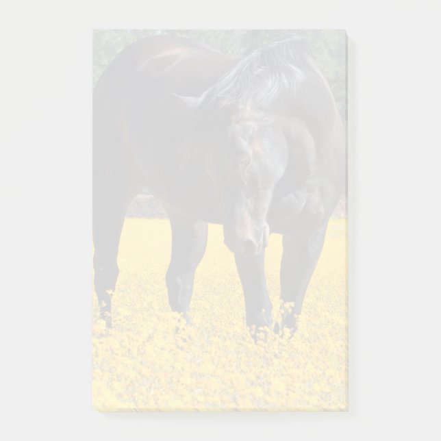 Bay Horse in a Field of Yellow Flowers Post-it Notes (Front)