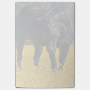 Bay Horse in a Field of Yellow Flowers Post-it Notes