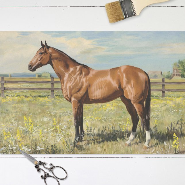 Bay Horse in a Pasture Painting Decoupage Tissue Paper (Creator Uploaded)