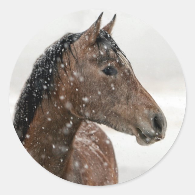 Bay Horse in Gently Falling Snow Classic Round Sticker (Front)