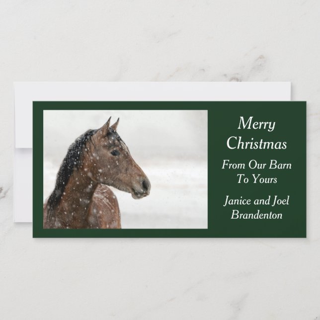 Bay Horse in Gently Falling Snow Holiday Card (Front)