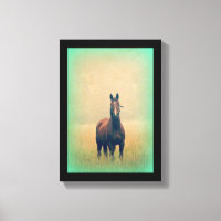 Bay Horse Standing in a Field