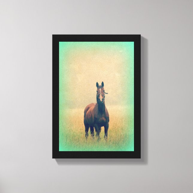 Bay Horse Standing in a Field Canvas Print (Front)