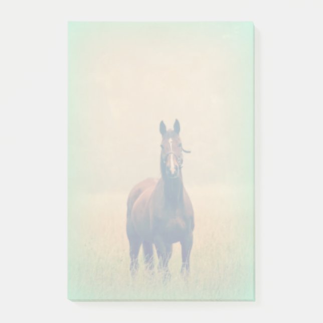 Bay Horse Standing in a Field Post-it Notes (Front)