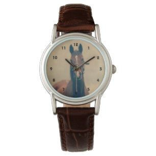 Bay Horse Standing in a Field Watch