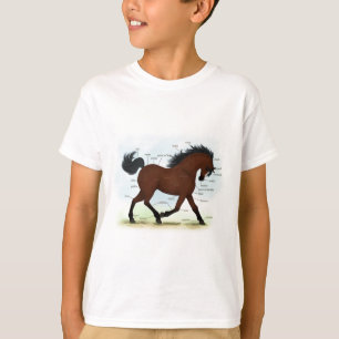 Bay Horse With Blaze Educational Anatomical Chart T-Shirt