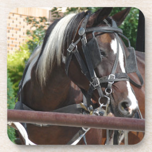 Bay Pinto Amish Buggy Horse Coaster