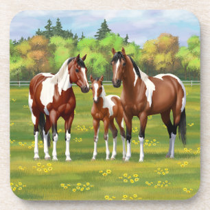Bay Pinto Paint Quarter Horses In Summer Pasture Coaster
