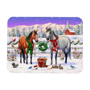 Bay Pinto Paint Quarter Horses In Summer Pasture M Magnet