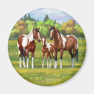 Bay Pinto Paint Quarter Horses In Summer Pasture Magnet