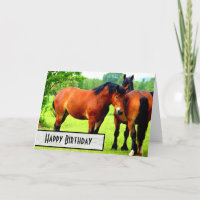 Bay Polish Bred Draught   Horses Happy Birthday