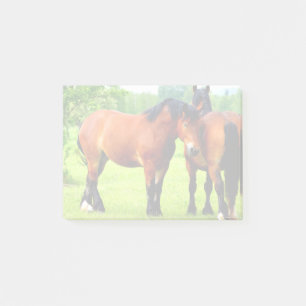 Bay Polish Bred Draught Horses In Lush Green Meado Post-it Notes