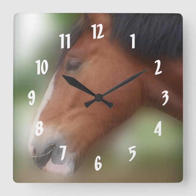 Bay Shire Draft Horse Face Animal Square Wall Clock (Front)