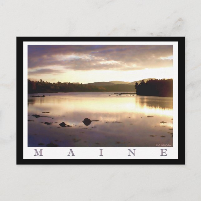 Bay View Postcard (Front)