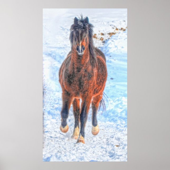 Bay Winter Horse "Year of the Horse" Equine photo Poster (Front)