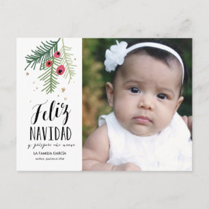 Bayas Rojas   Feliz Navidad    Tarjeta Postal Holiday Postcard