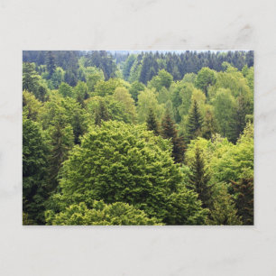 Bayerischer Wald Postcard