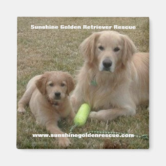 Bayou Magnet - Sunshine Golden Retriever Rescue...