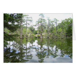 Bayou Reflection Card