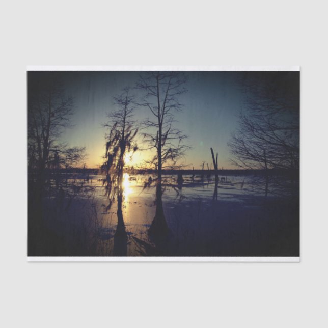 Bayou Sunset | Cypress Trees & Swamp Tissue Paper (Front)