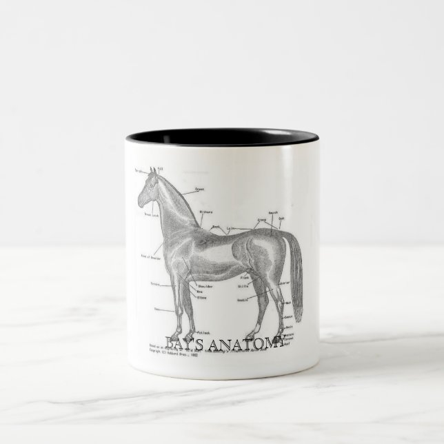 Bays Anatomy mug (Center)