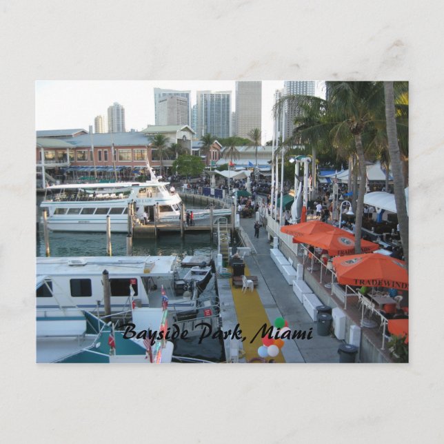 Bayside Park, Miami Postcard (Front)