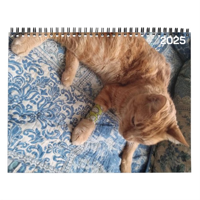 Bazz 12 Month 2025 Personalised Calendar (Cover)