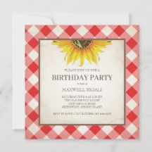 BBQ Birthday Red Gingham Print