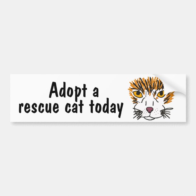 BC- Adopt a Rescue at Today Bumper Sticker (Front)