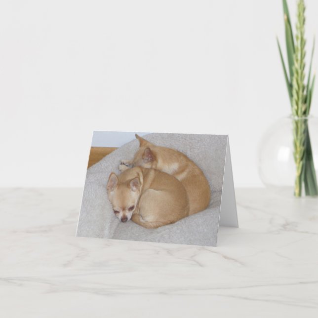 BC- Cute Chihuahua Puppy Greeting Cards (Front)