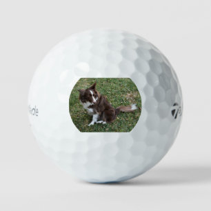 bc p 5 golf balls