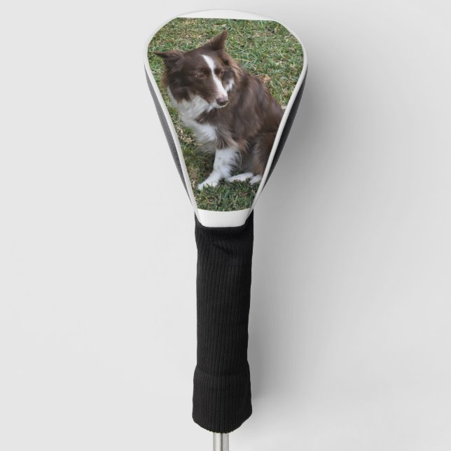 bc p 5 golf head cover (Front)