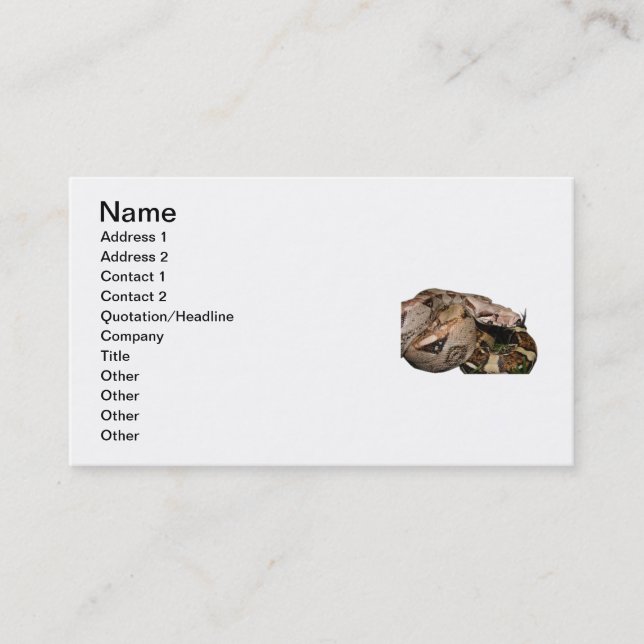 BCI Business Card (Front)