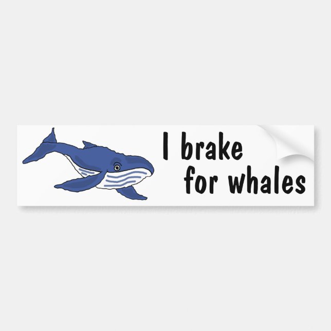 BD- I brake for whales bumper sticker (Front)