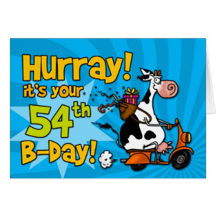 bd scooter cow - 54