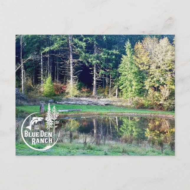 BDR Make-Your-Own Holiday Postcard (Front)