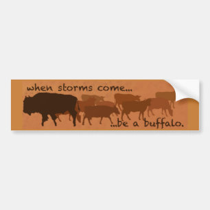 Be a Buffalo bumper sticker