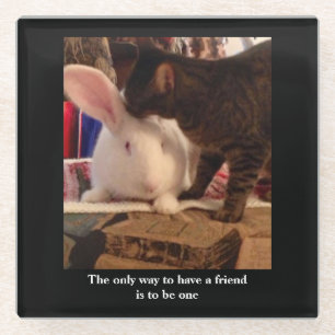 Be a Friend Glass Coaster
