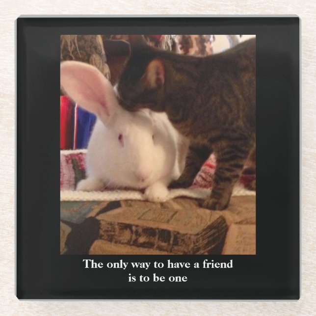 Be a Friend     Glass Coaster (Front)