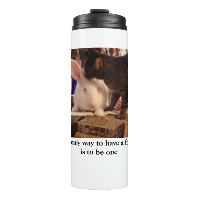 Be a Friend  Thermal Tumbler (Front)