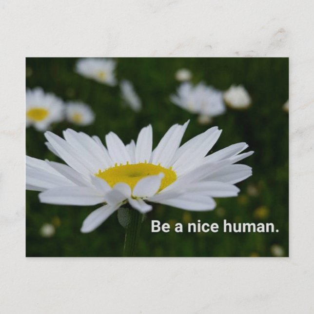 Be a Nice Human Postcard (Front)